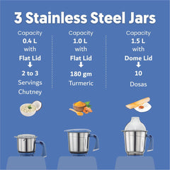 Preethi Mixer Grinder Blue Leaf Silver MG 149 - 3 Jars 600 Watt